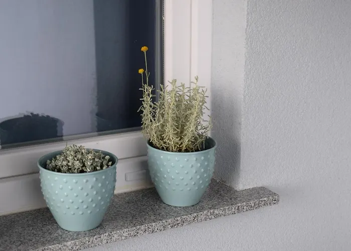 Podine, Appartement