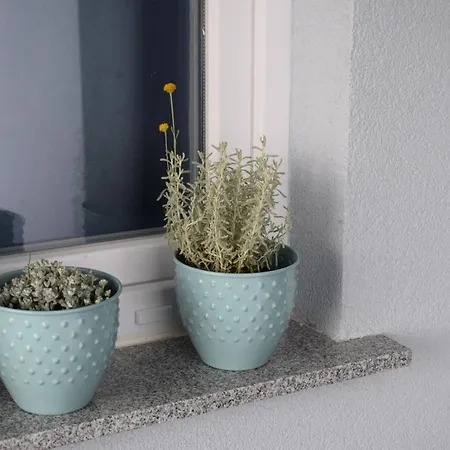Apartman Podine, Apartment